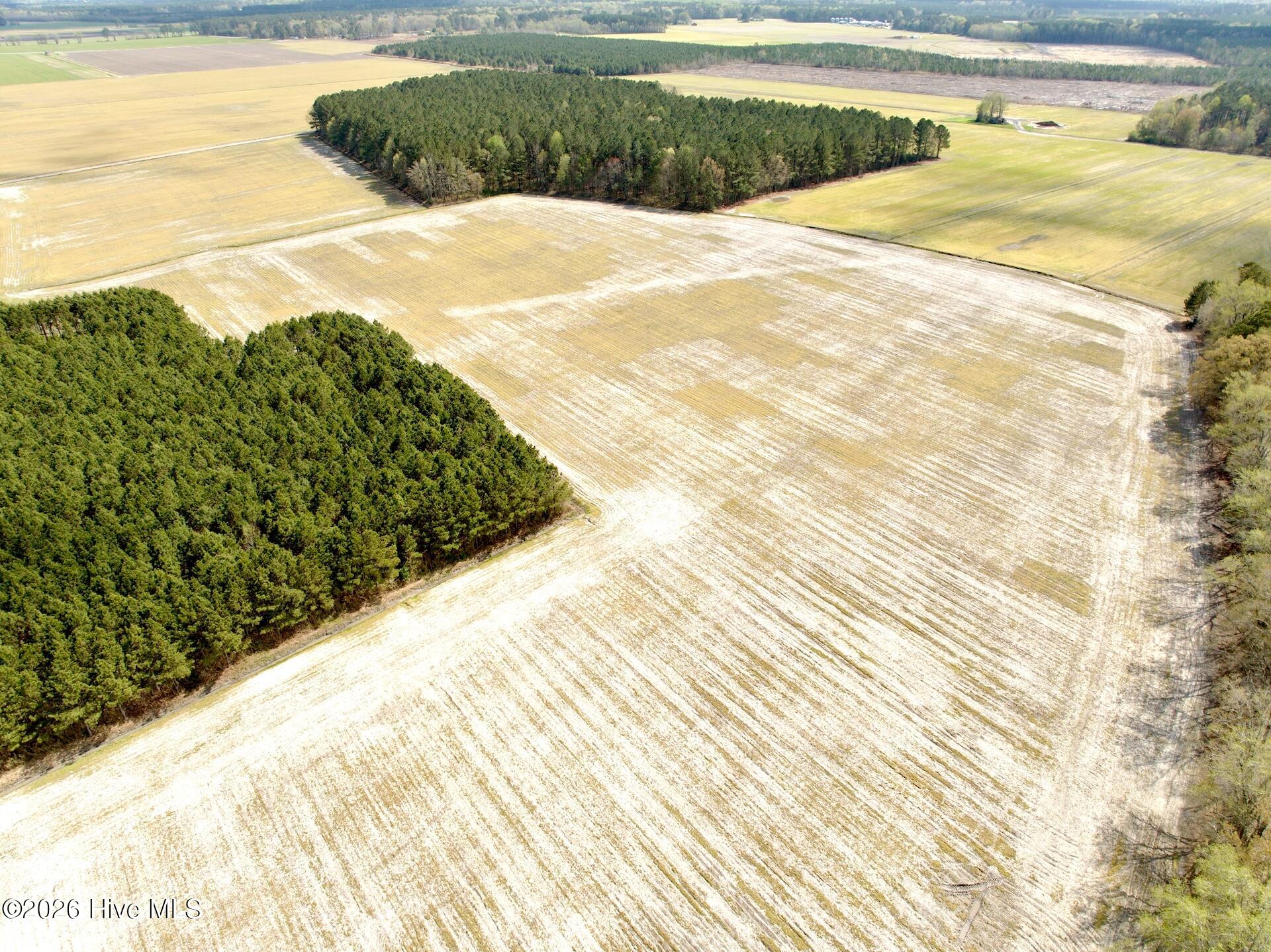 0 Mingle Road Gates, NC 27937 - Photo 26 of 33 109.79 ac - 26