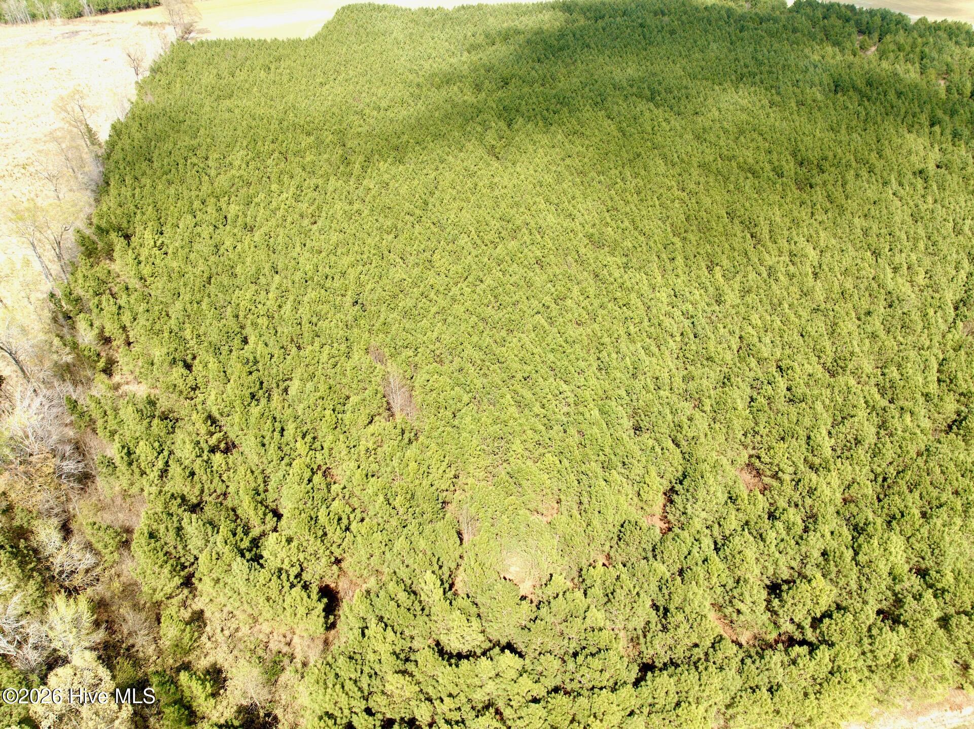 0 Mingle Road Gates, NC 27937 - Photo 27 of 33 109.79 ac - 27