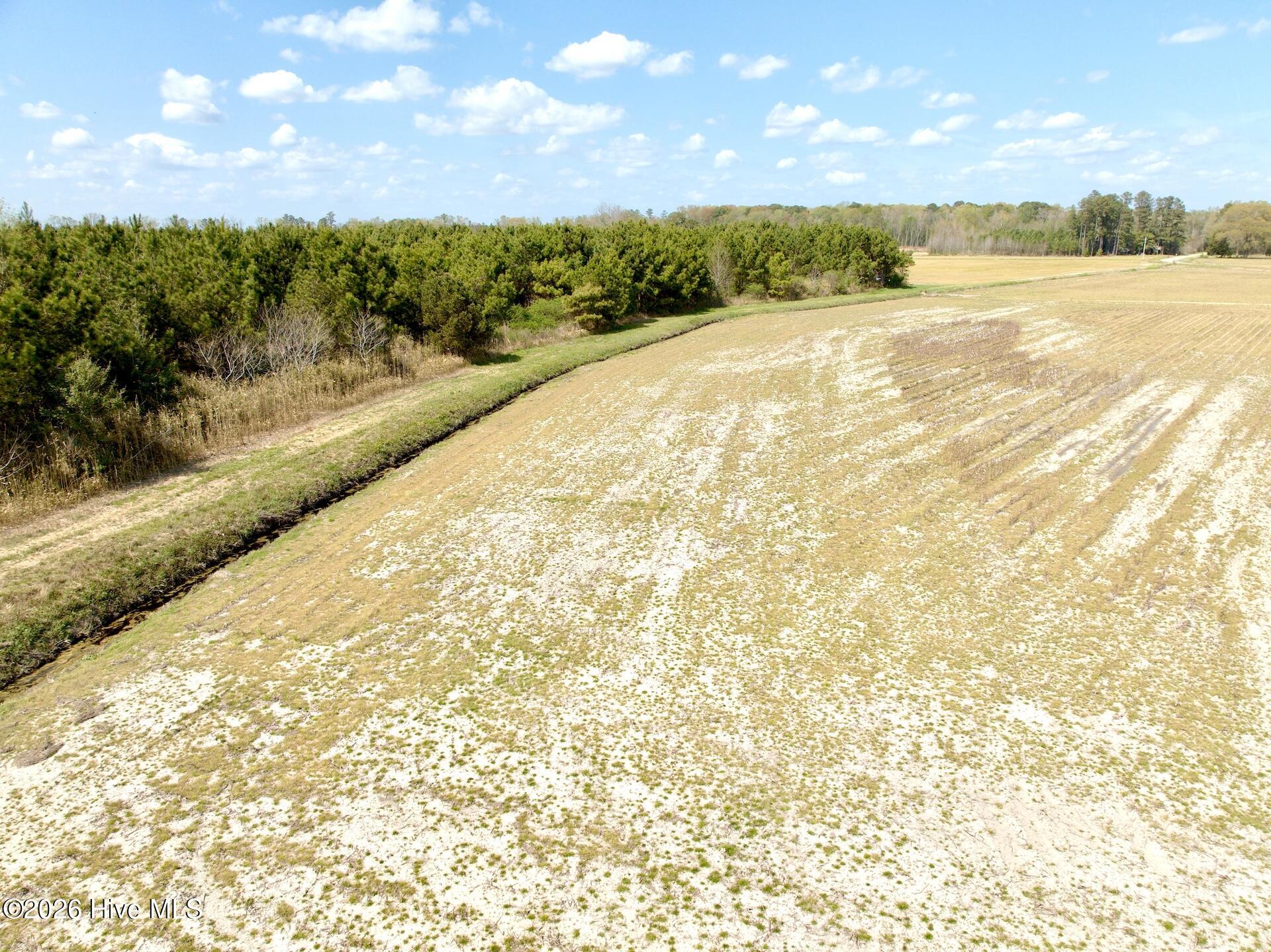 0 Mingle Road Gates, NC 27937 - Photo 29 of 33 109.79 ac - 31