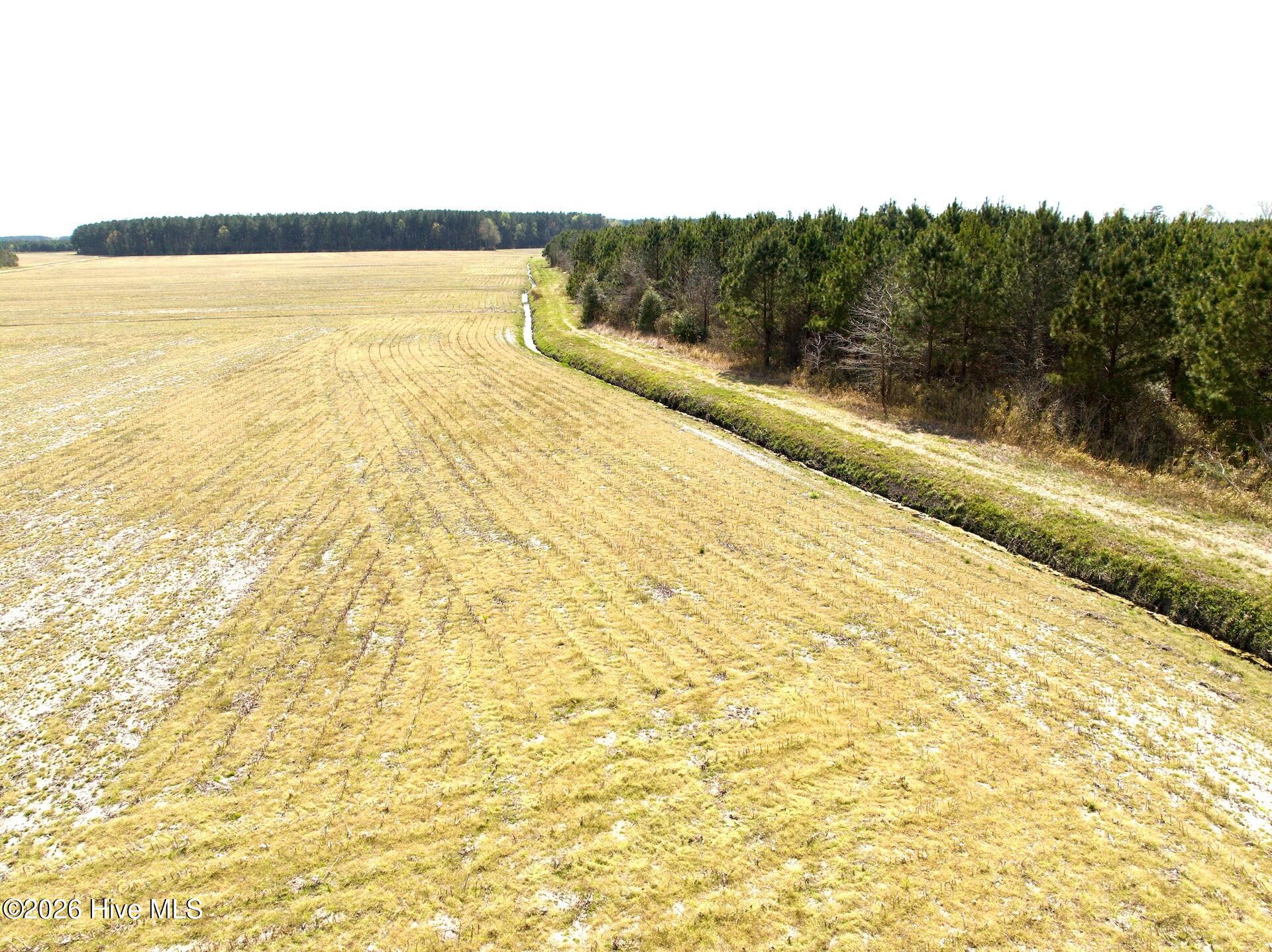 0 Mingle Road Gates, NC 27937 - Photo 30 of 33 109.79 ac - 32