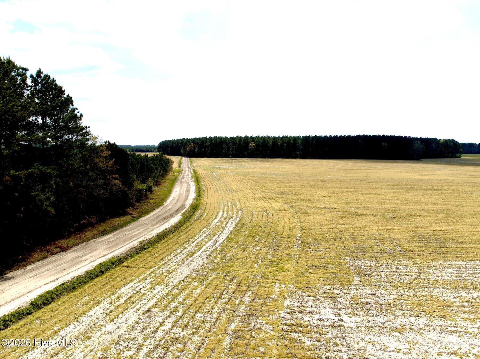 0 Mingle Road Gates, NC 27937 - Photo 3 of 33 3