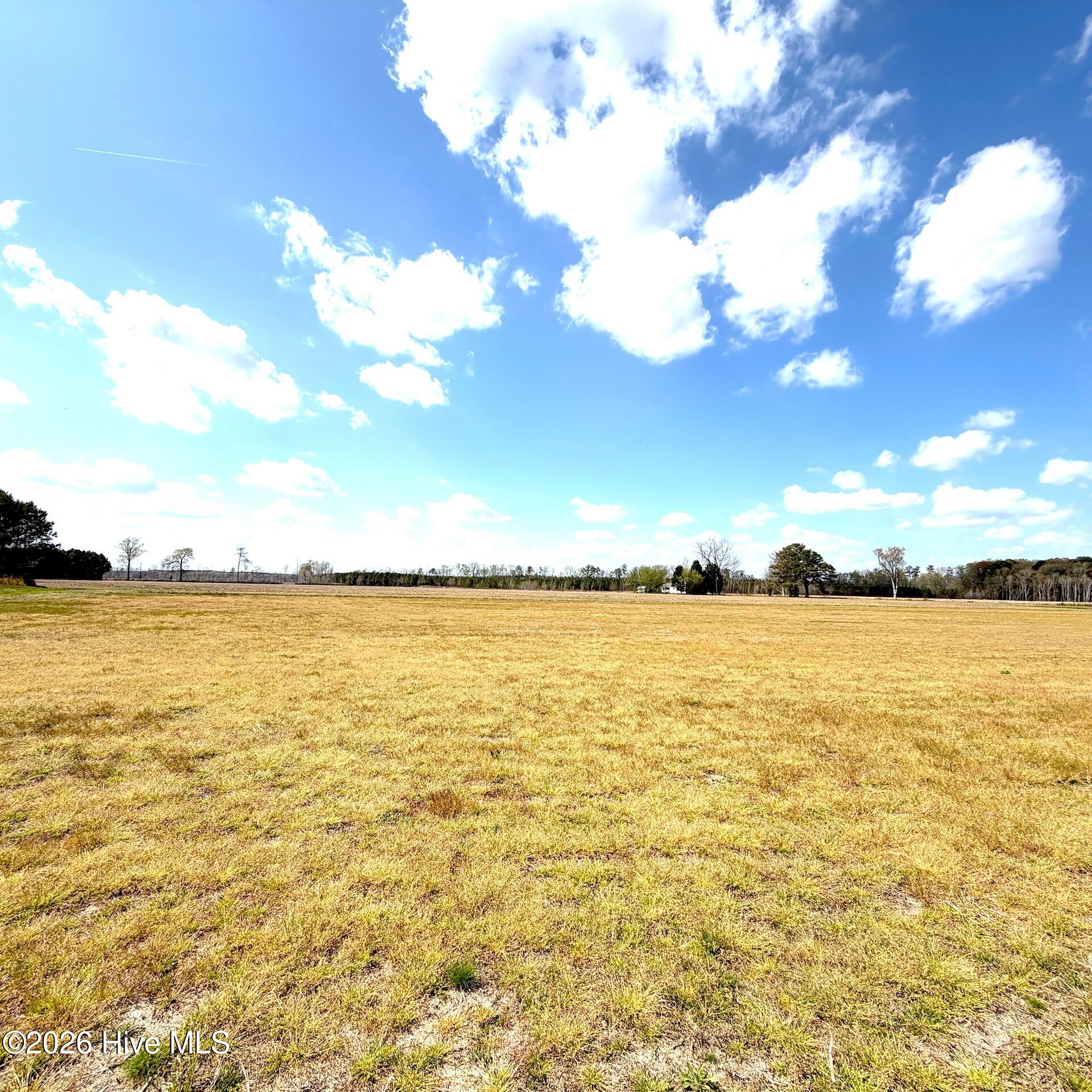 0 Mingle Road Gates, NC 27937 - Photo 31 of 33 109.79 ac - 33