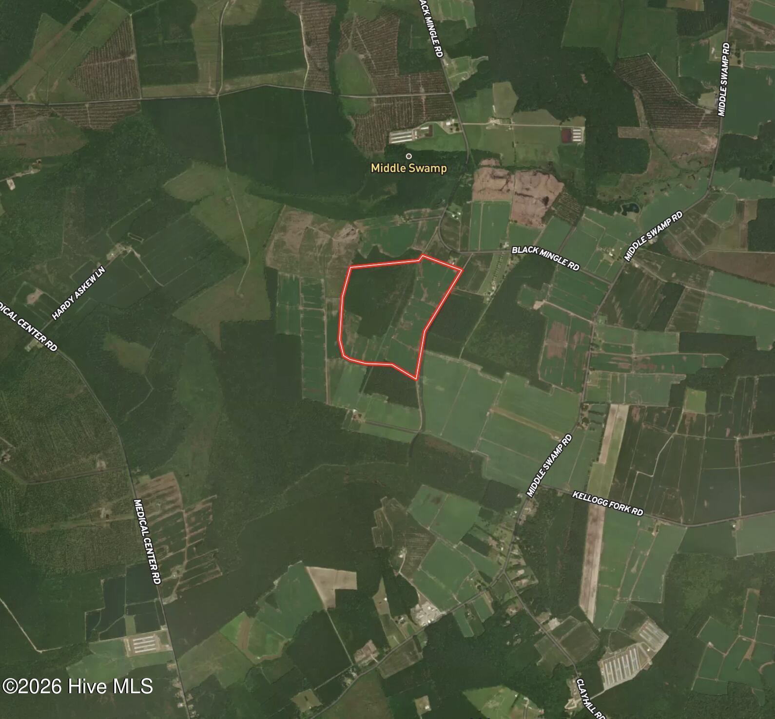 0 Mingle Road Gates, NC 27937 - Photo 32 of 33 Aerial 2