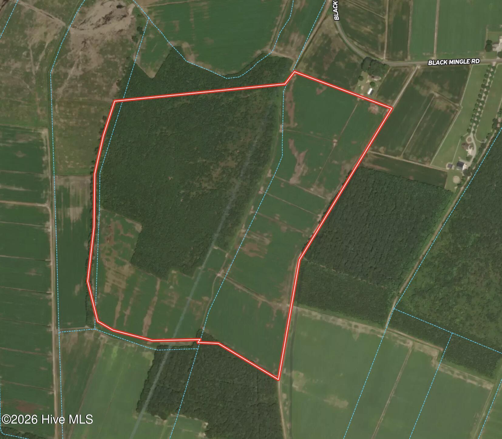 0 Mingle Road Gates, NC 27937 - Photo 33 of 33 Aerial Surface Water