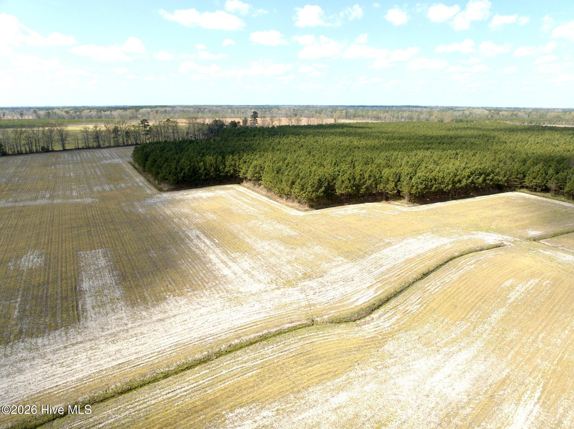 0 Mingle Road Gates, NC 27937 - Photo 4 of 33 4