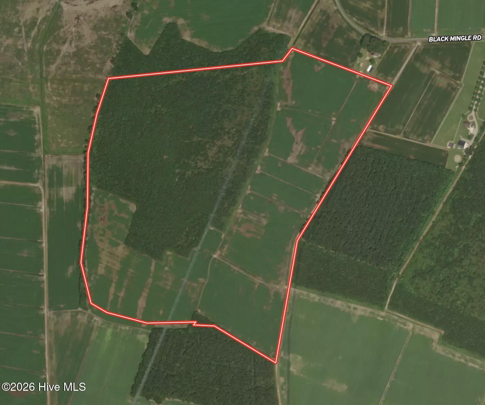 0 Mingle Road Gates, NC 27937 - Photo 5 of 33 Aerial 1