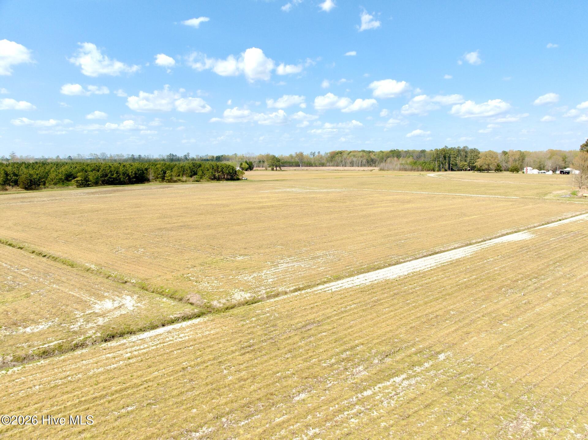 0 Mingle Road Gates, NC 27937 - Photo 6 of 33 5