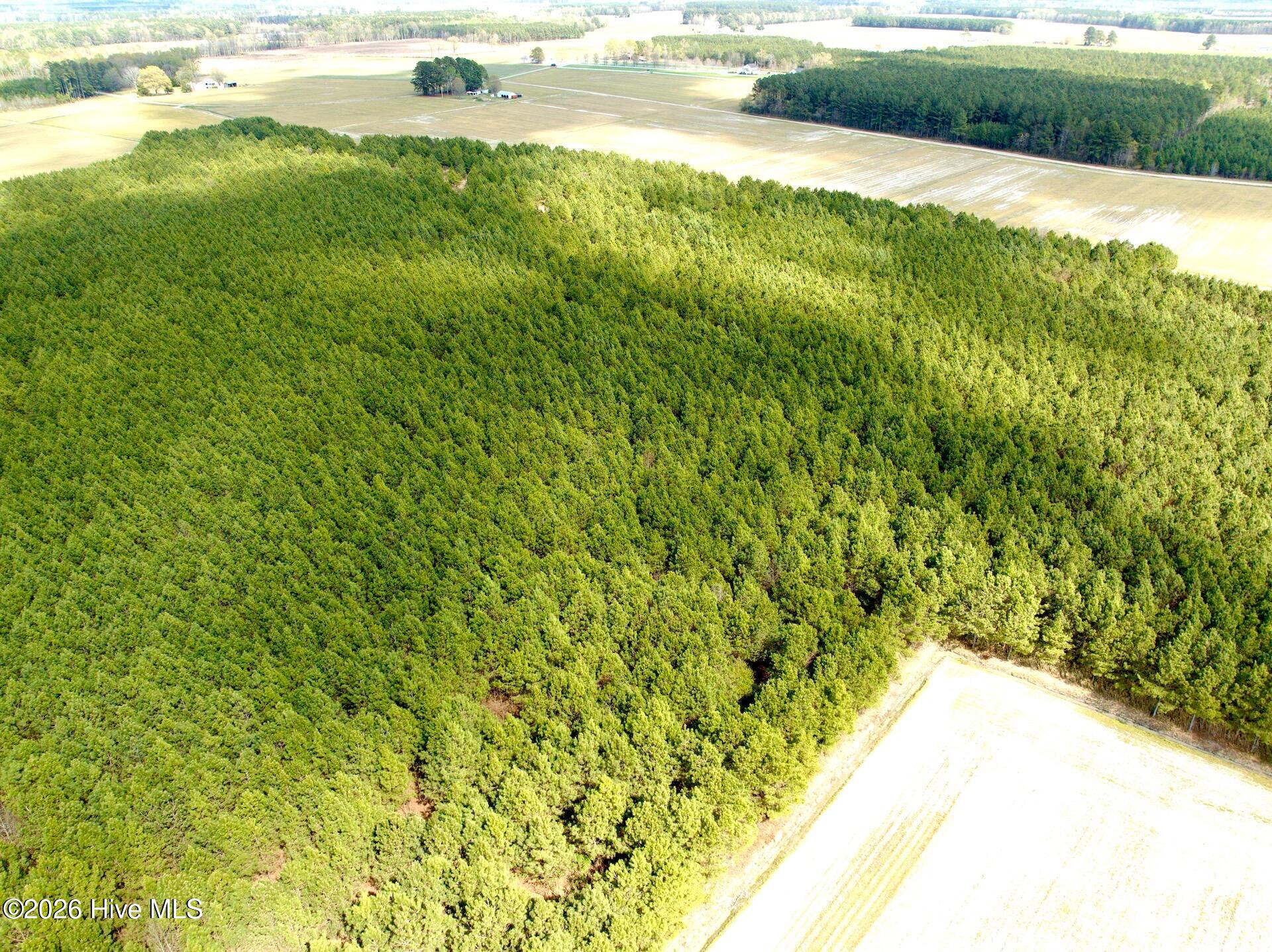 0 Mingle Road Gates, NC 27937 - Photo 7 of 33 6