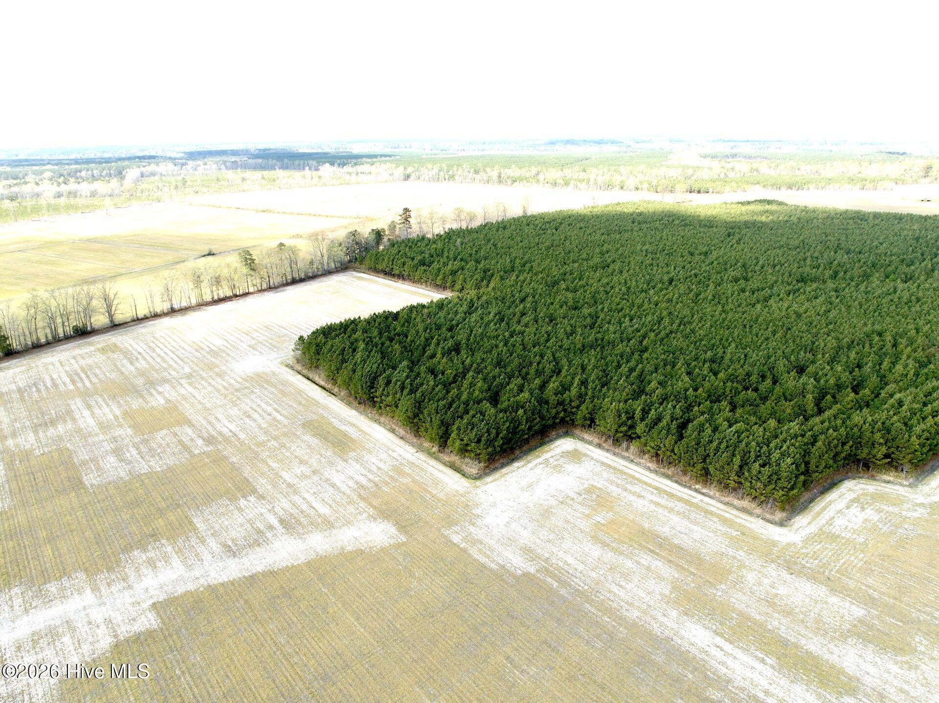 0 Mingle Road Gates, NC 27937 - Photo 8 of 33 7