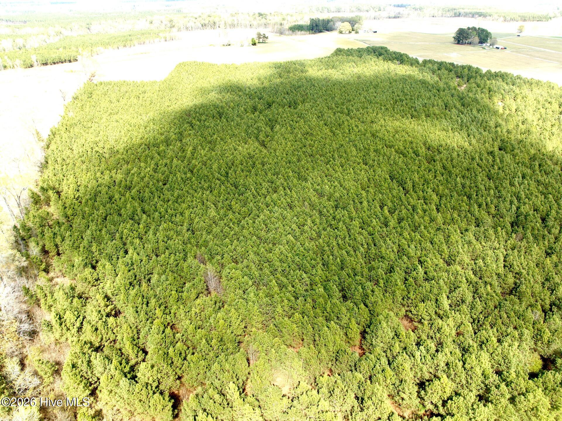 0 Mingle Road Gates, NC 27937 - Photo 9 of 33 8