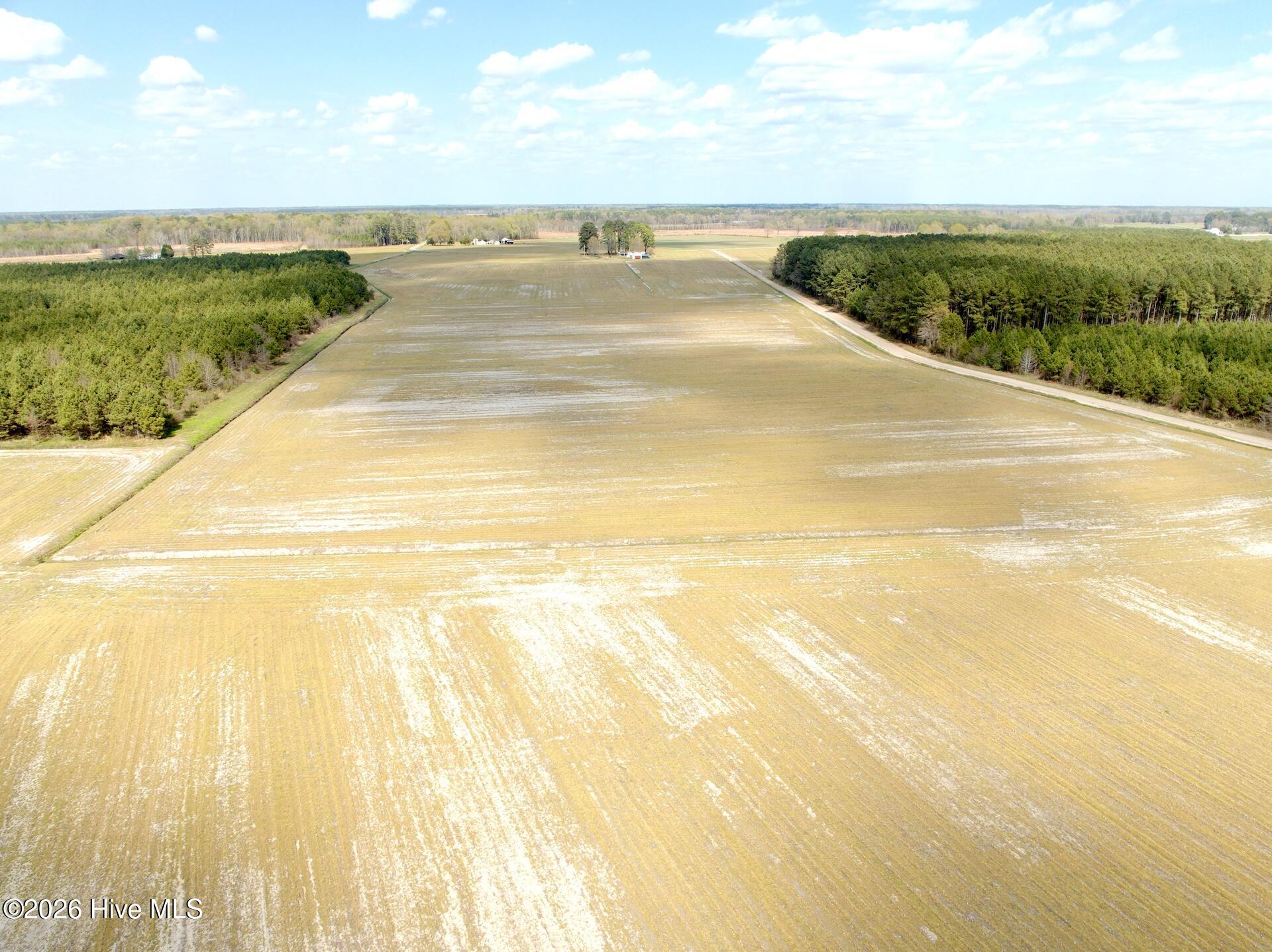 0 Mingle Road Gates, NC 27937 - Photo 10 of 33 9