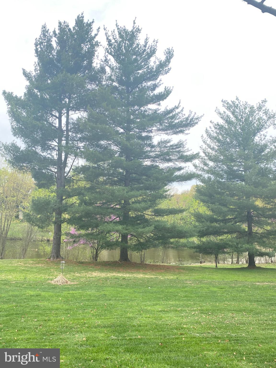 15420 Aylesbury Street Silver Spring, MD 20905 - Photo 2 of 3