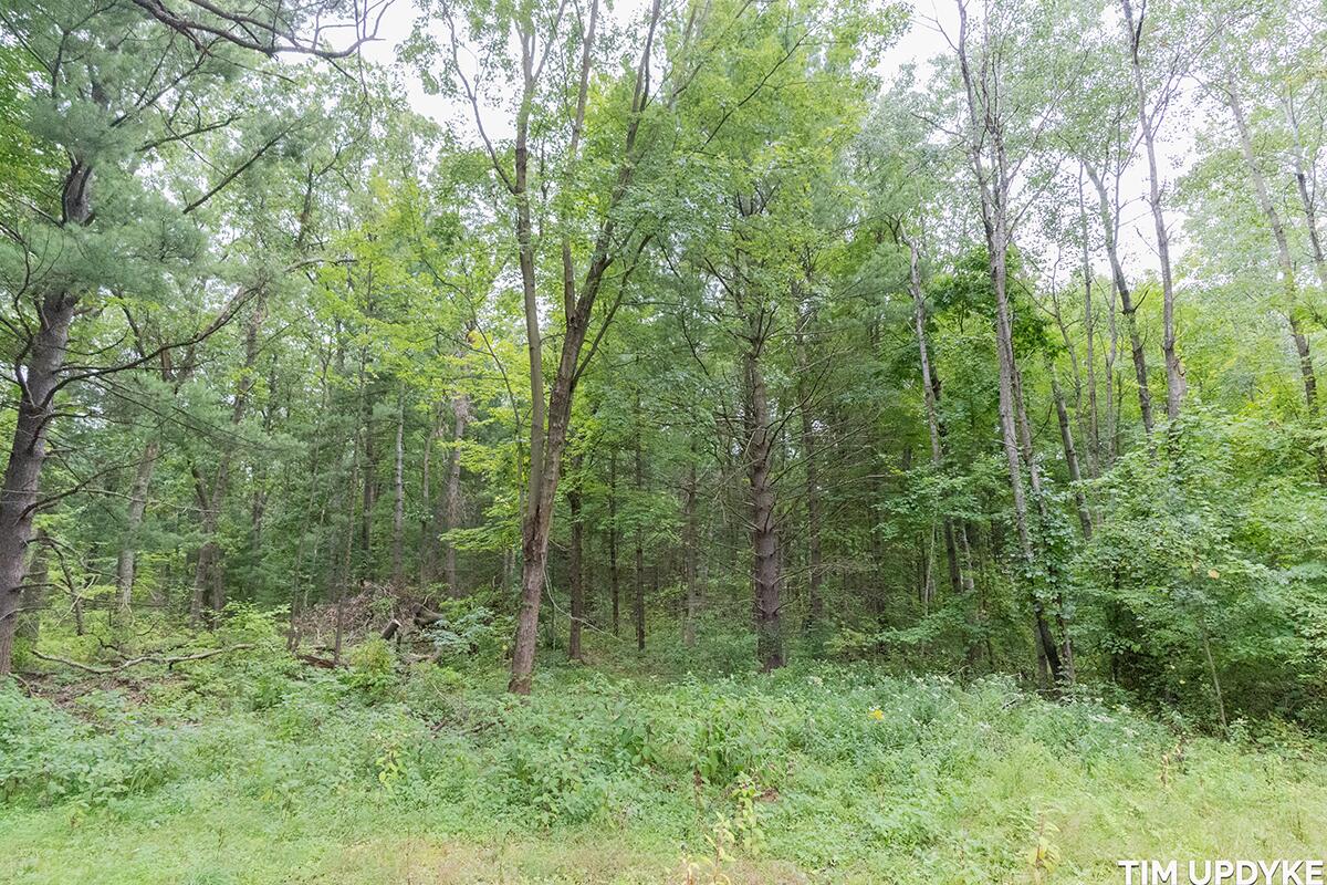 2719 Hall Road Muskegon, MI 49442 - Photo 9 of 46 DSC02225
