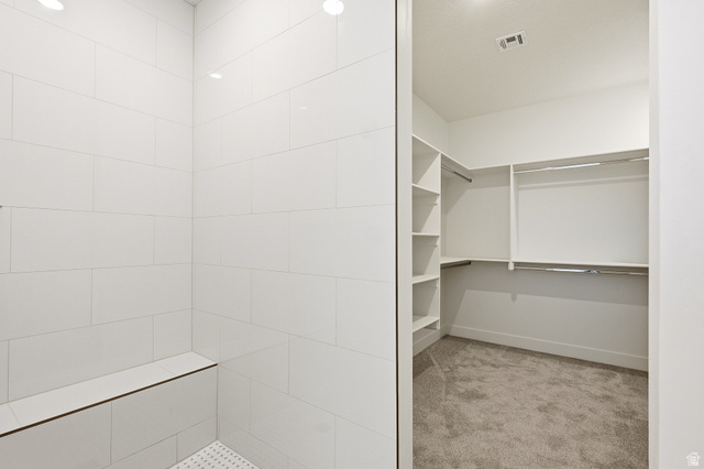 4978 North 75 East Enoch, UT 84721 - Photo 21 of 60 Walk in closet featuring light carpet