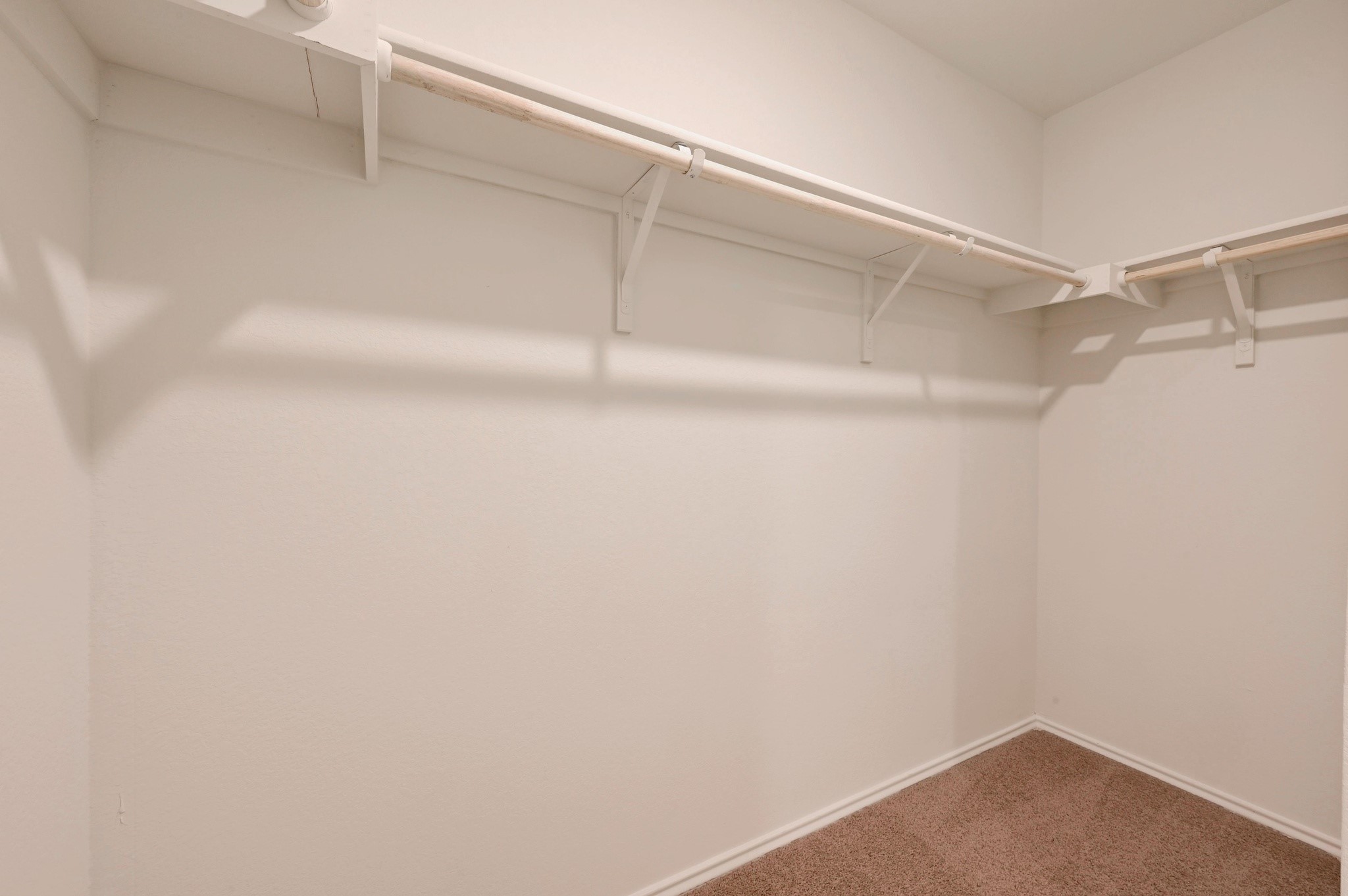 412 Sickle Loop Kyle, TX 78640 - Photo 17 of 25 Walk in closet featuring carpet floors