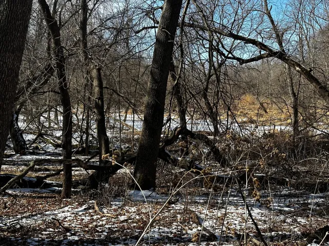 $27,000 | Xxx Baycrest Road, Glenwood, MN 56334