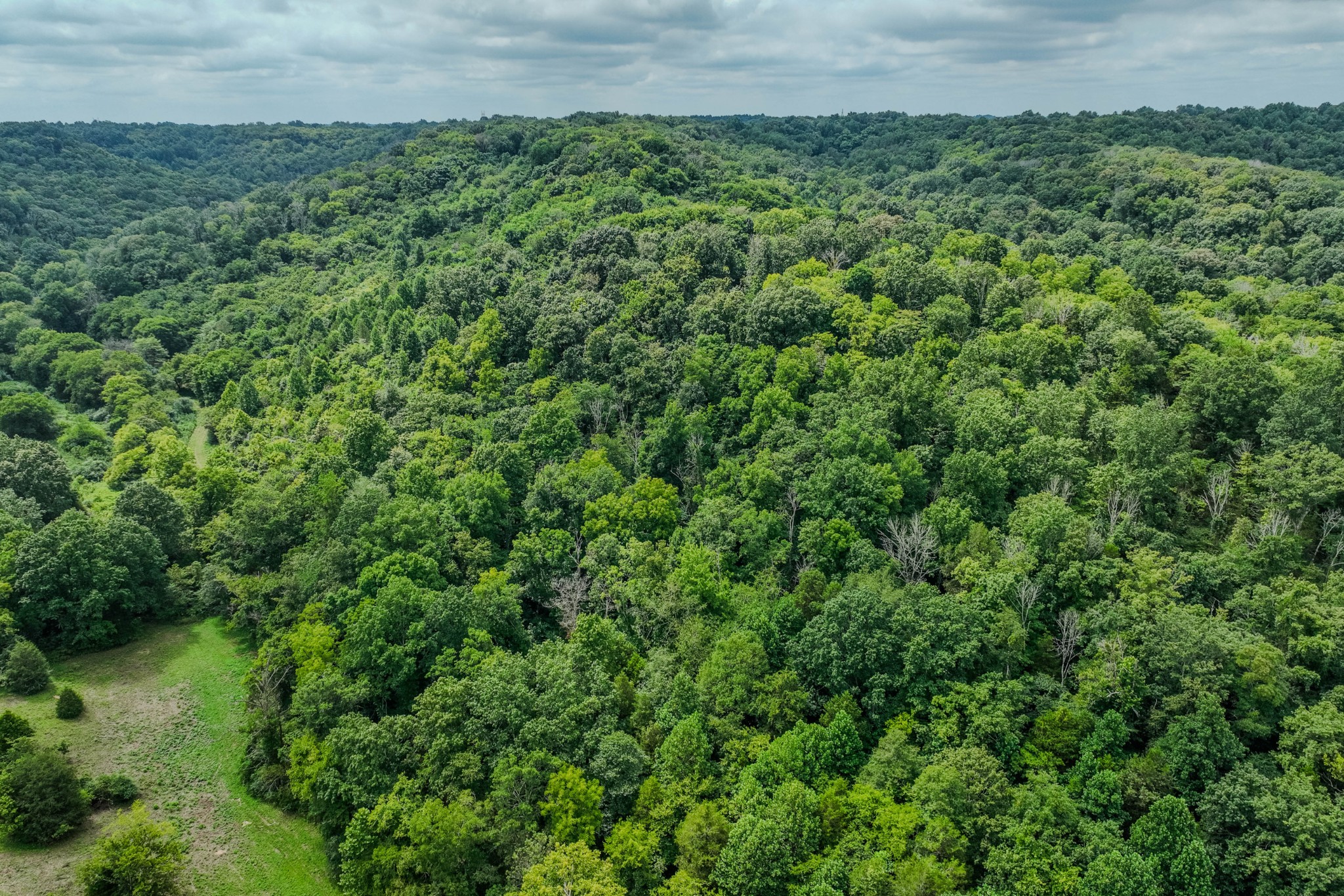 3264 Martin Hollow Road Culleoka, TN 38451 - Photo 15 of 68