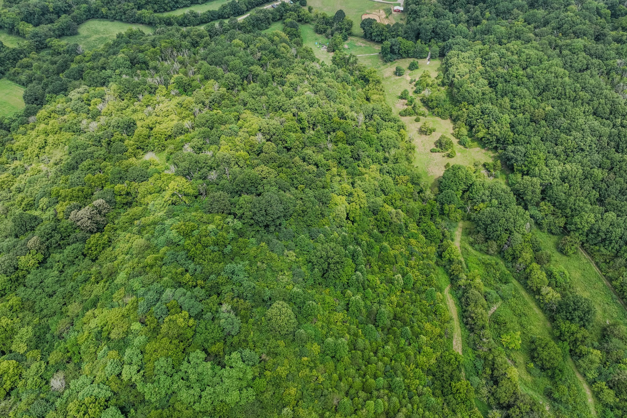 3264 Martin Hollow Road Culleoka, TN 38451 - Photo 17 of 68