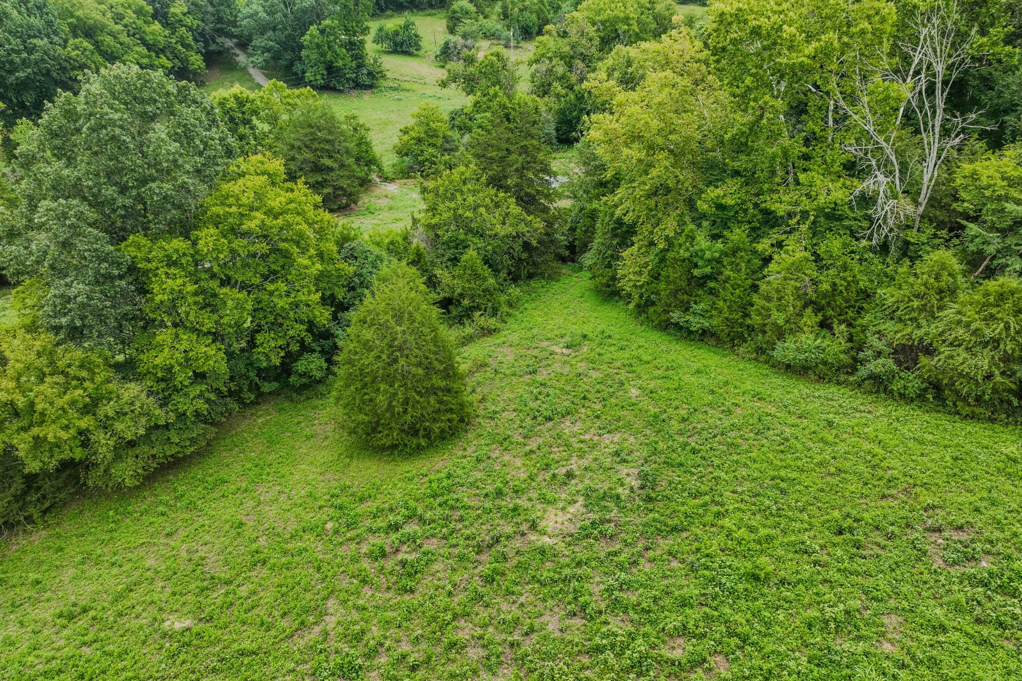 3264 Martin Hollow Road Culleoka, TN 38451 - Photo 21 of 68 a view of a lush green space