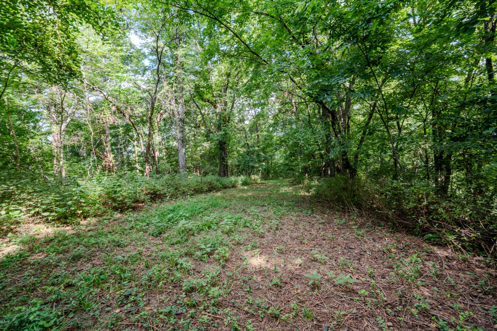 3264 Martin Hollow Road Culleoka, TN 38451 - Photo 25 of 68