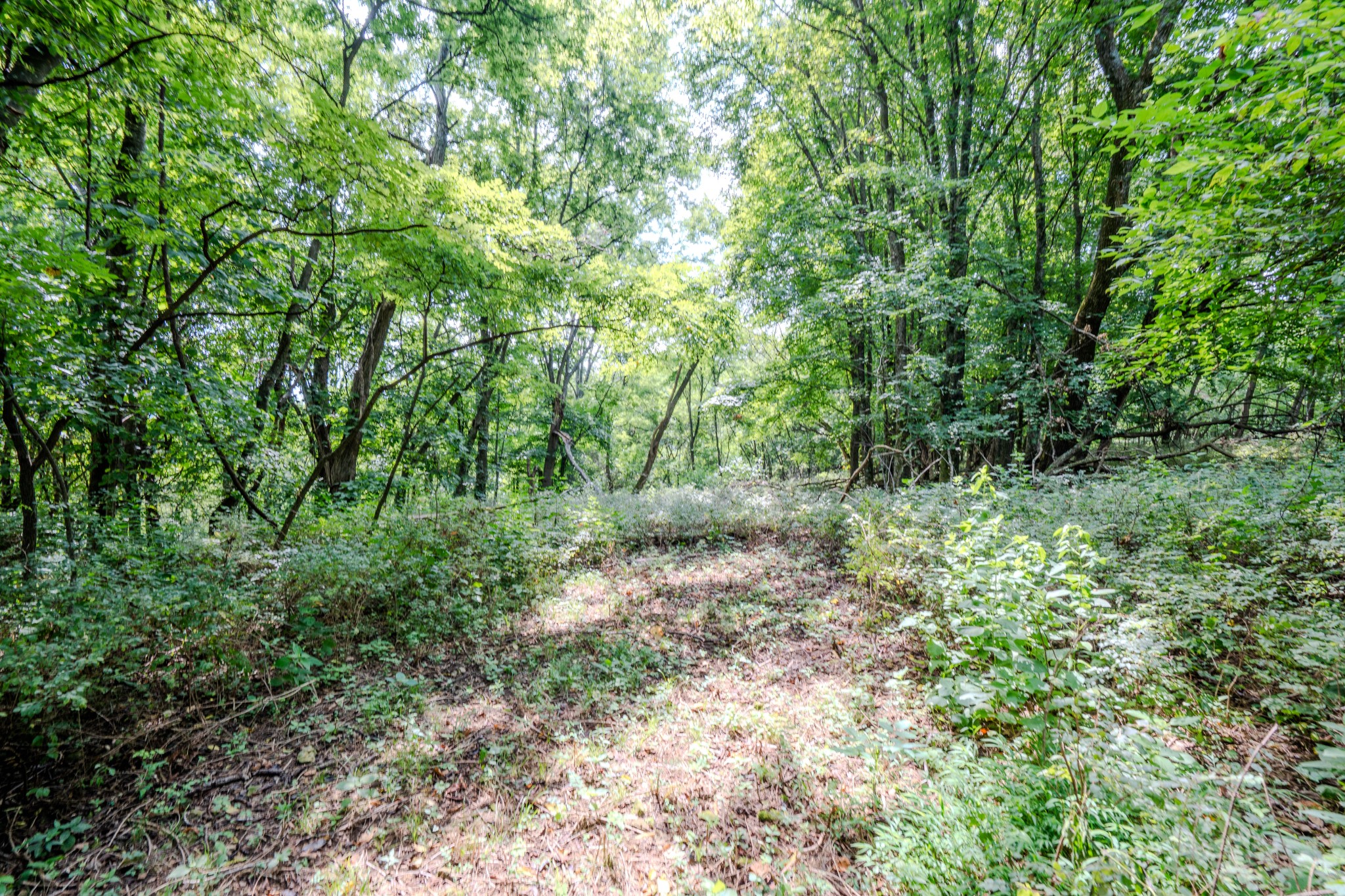 3264 Martin Hollow Road Culleoka, TN 38451 - Photo 26 of 68