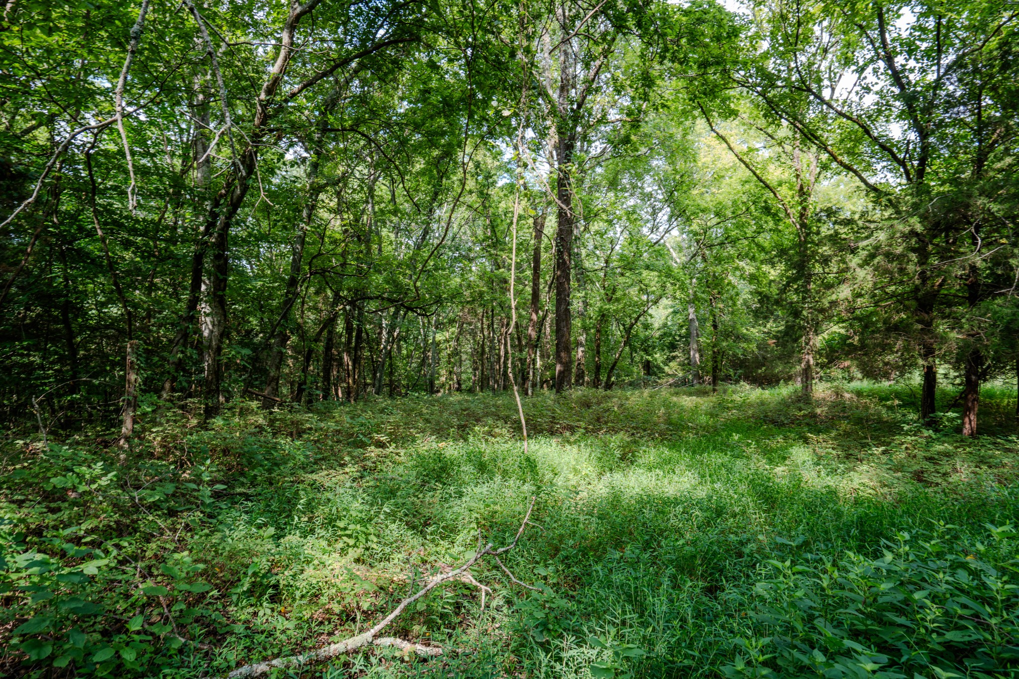 3264 Martin Hollow Road Culleoka, TN 38451 - Photo 29 of 68