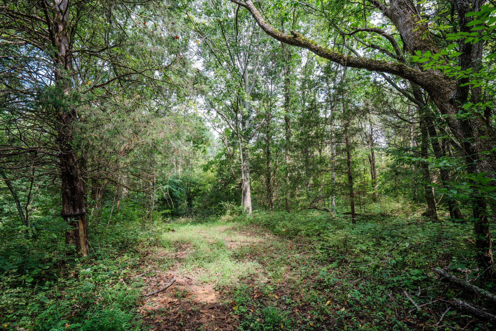 3264 Martin Hollow Road Culleoka, TN 38451 - Photo 30 of 68