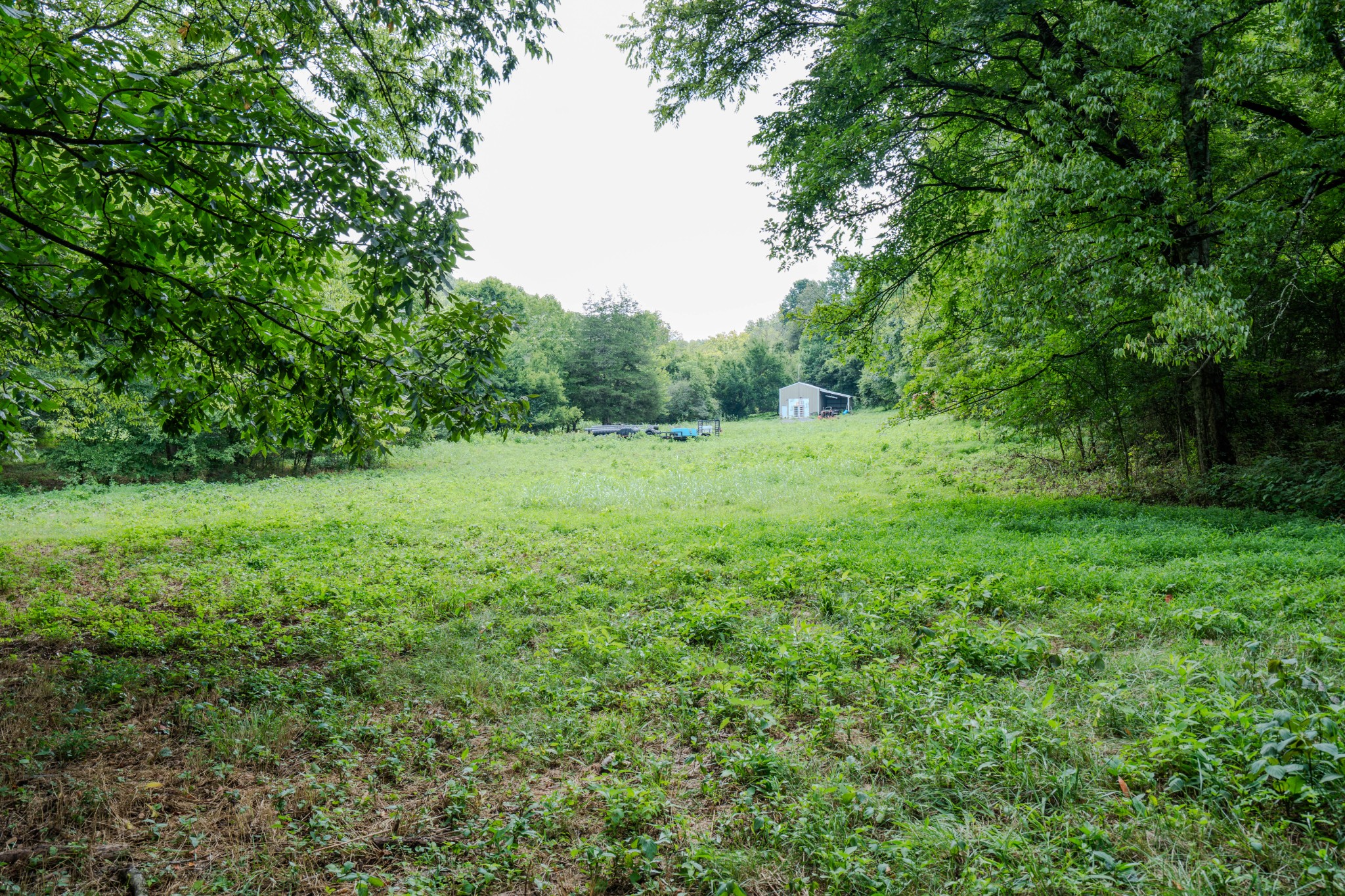 3264 Martin Hollow Road Culleoka, TN 38451 - Photo 33 of 68