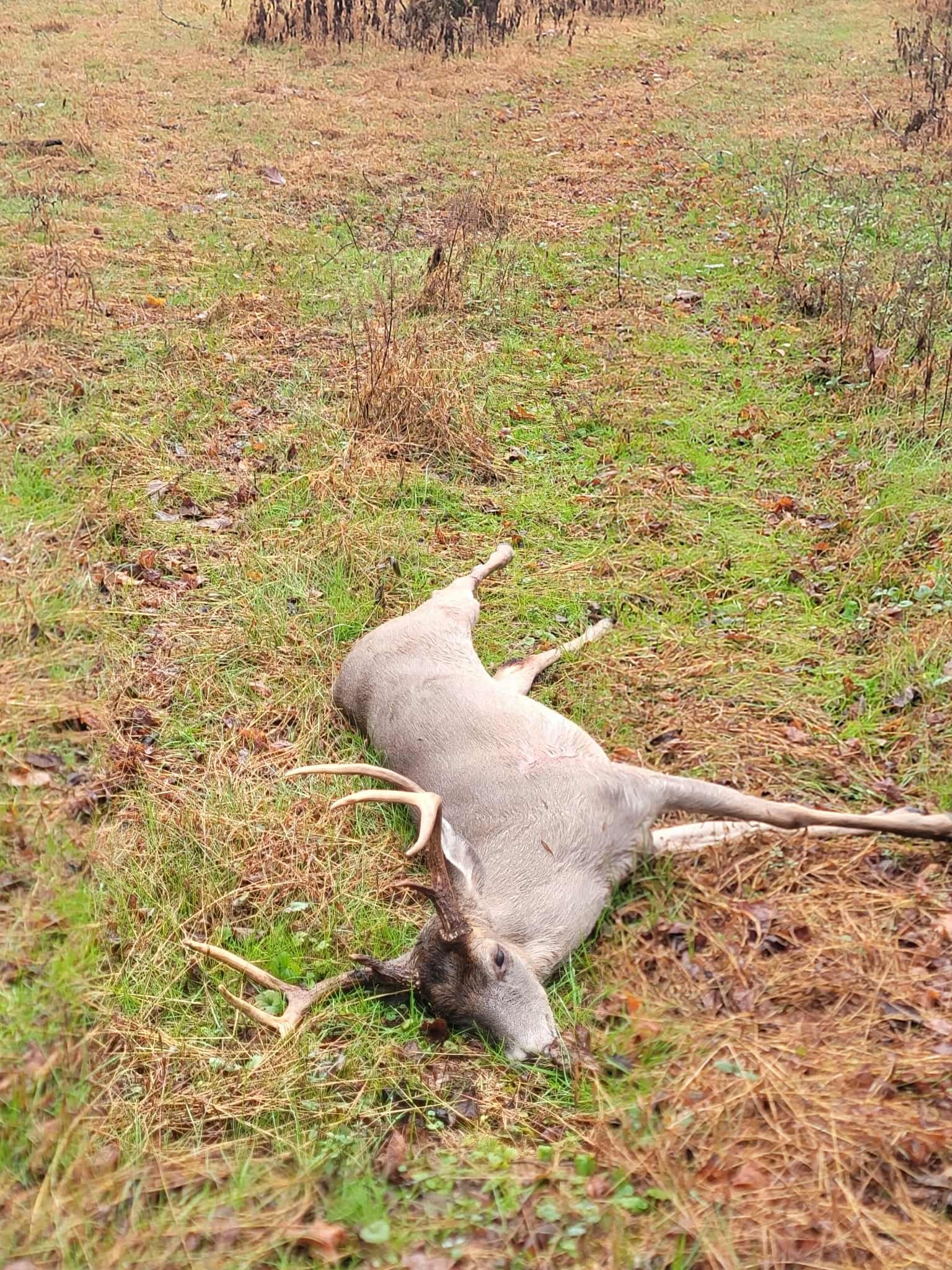 3264 Martin Hollow Road Culleoka, TN 38451 - Photo 5 of 68