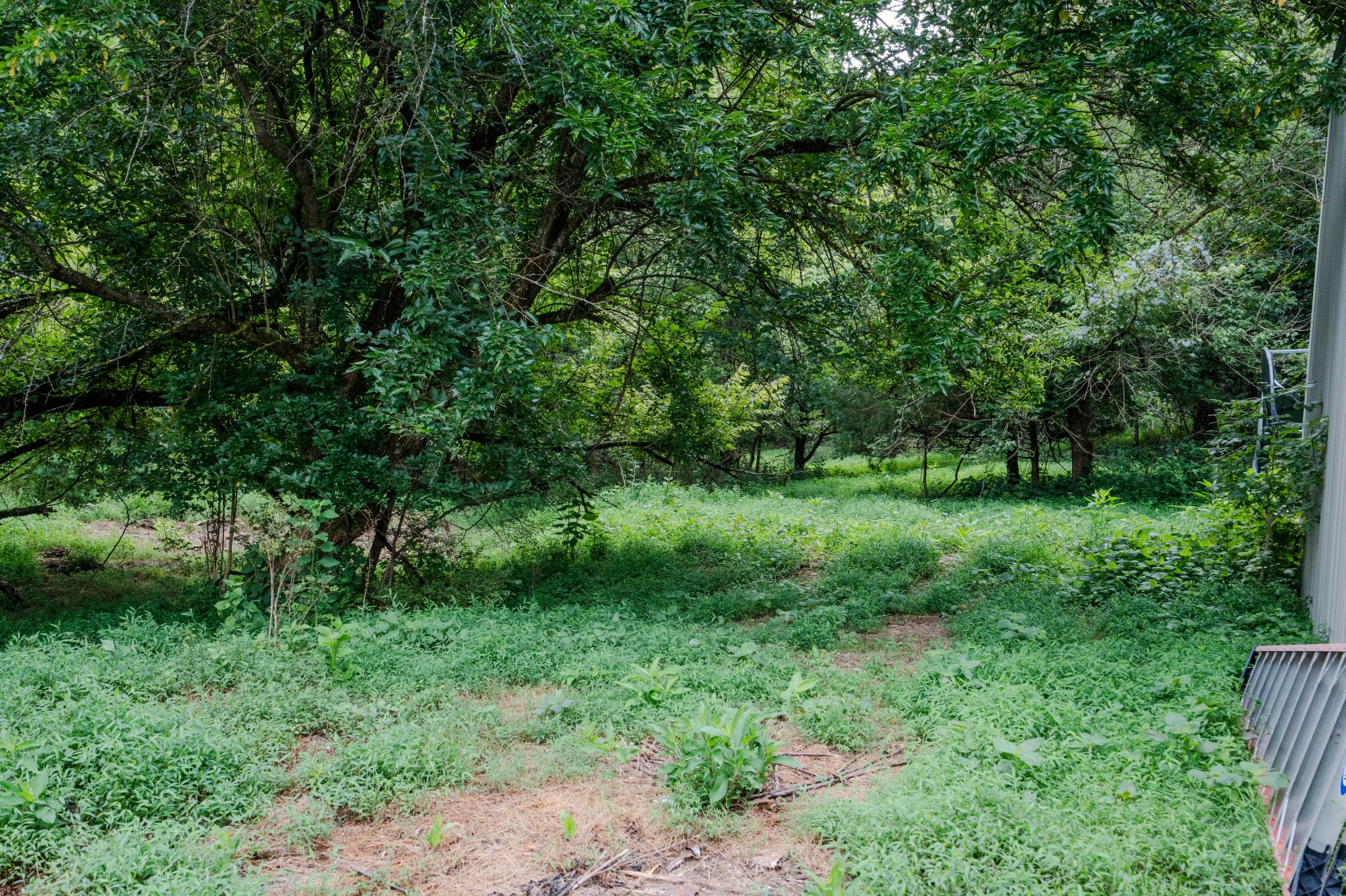 3264 Martin Hollow Road Culleoka, TN 38451 - Photo 54 of 68