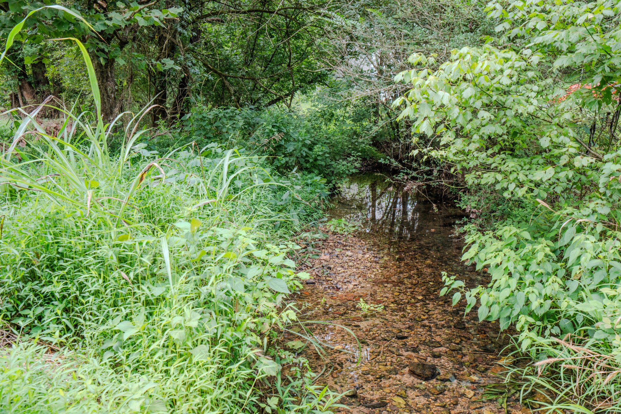 3264 Martin Hollow Road Culleoka, TN 38451 - Photo 55 of 68