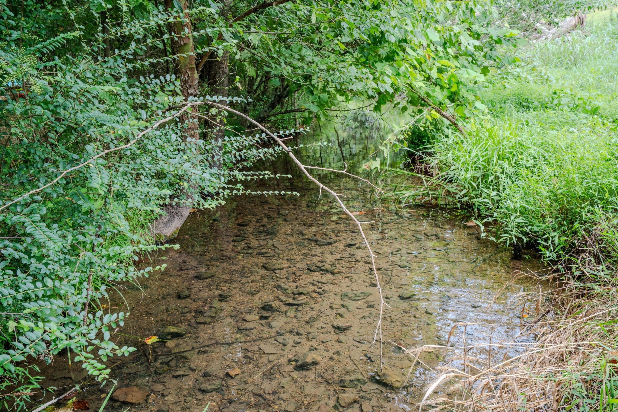 3264 Martin Hollow Road Culleoka, TN 38451 - Photo 56 of 68