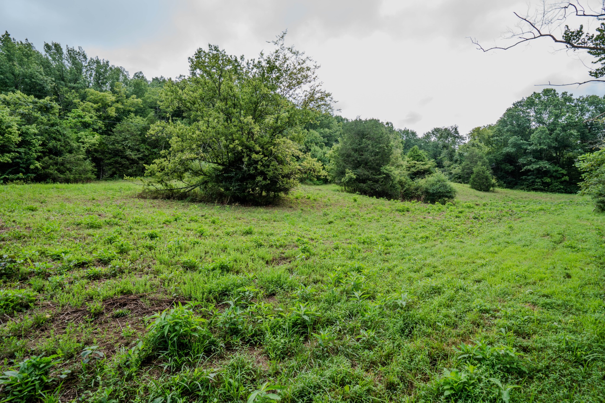 3264 Martin Hollow Road Culleoka, TN 38451 - Photo 59 of 68