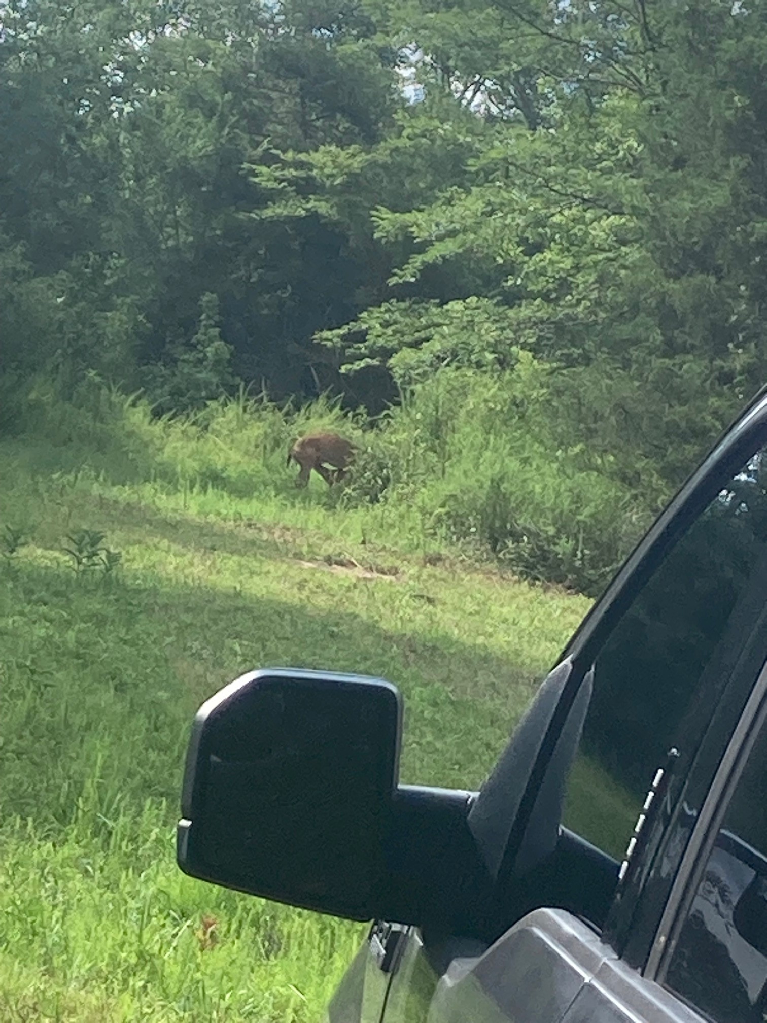 3264 Martin Hollow Road Culleoka, TN 38451 - Photo 6 of 68