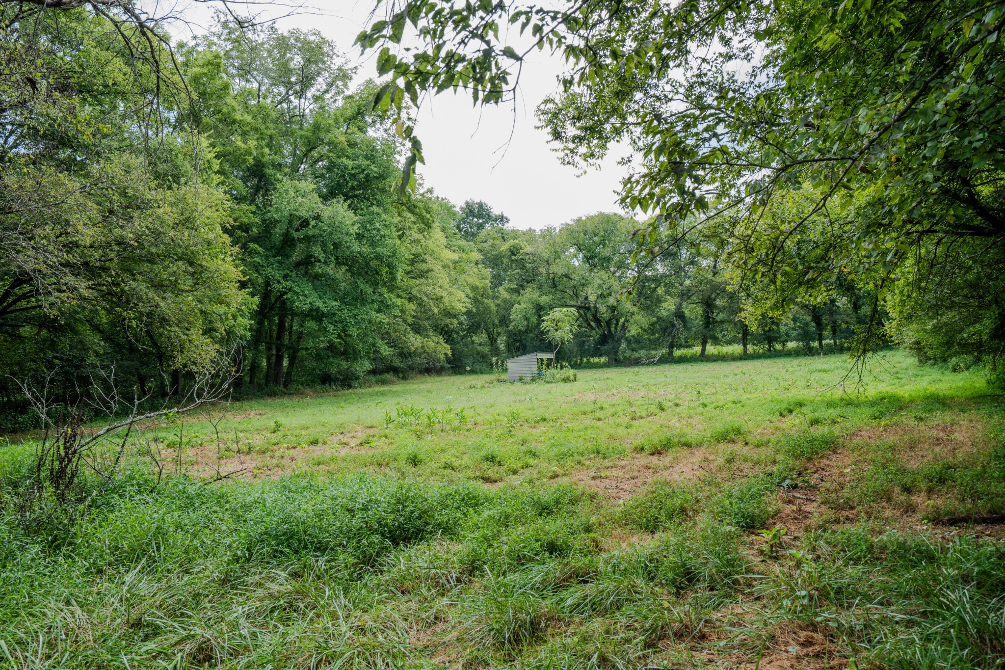 3264 Martin Hollow Road Culleoka, TN 38451 - Photo 62 of 68