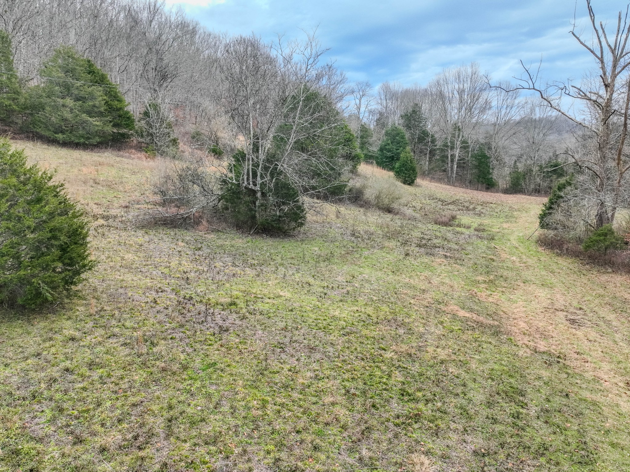 3264 Martin Hollow Road Culleoka, TN 38451 - Photo 65 of 68