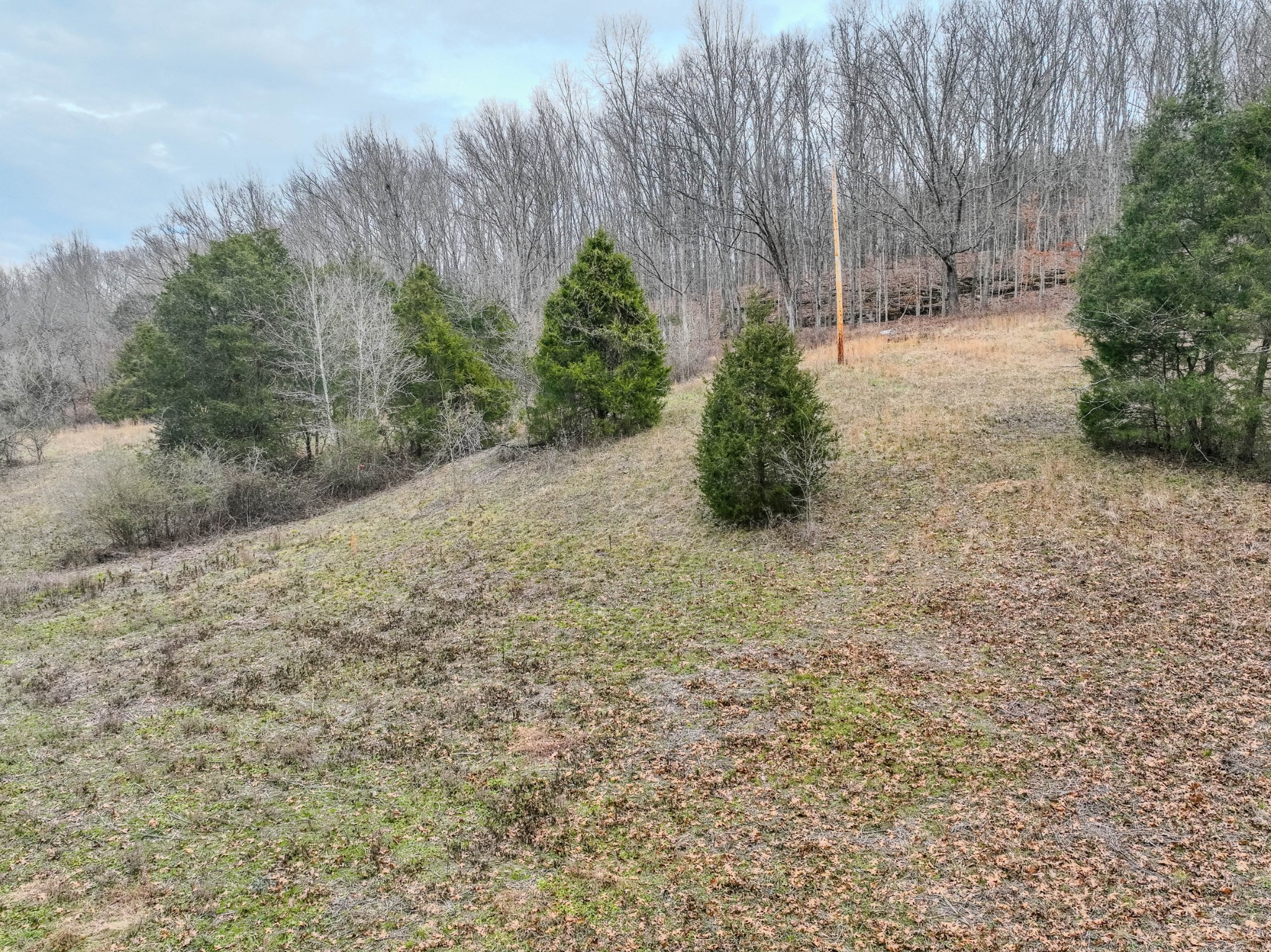 3264 Martin Hollow Road Culleoka, TN 38451 - Photo 66 of 68