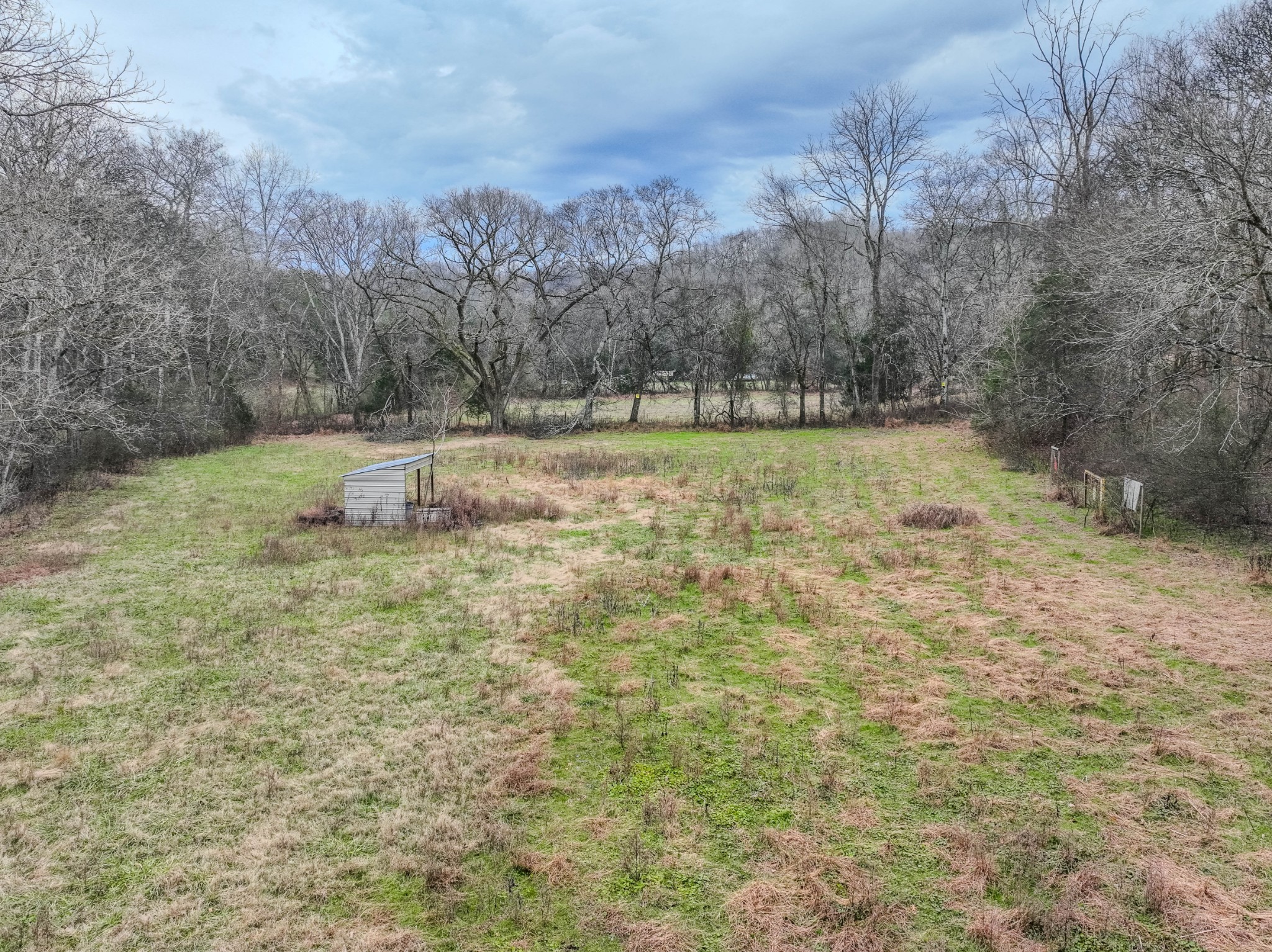 3264 Martin Hollow Road Culleoka, TN 38451 - Photo 68 of 68 a view of a yard with large trees