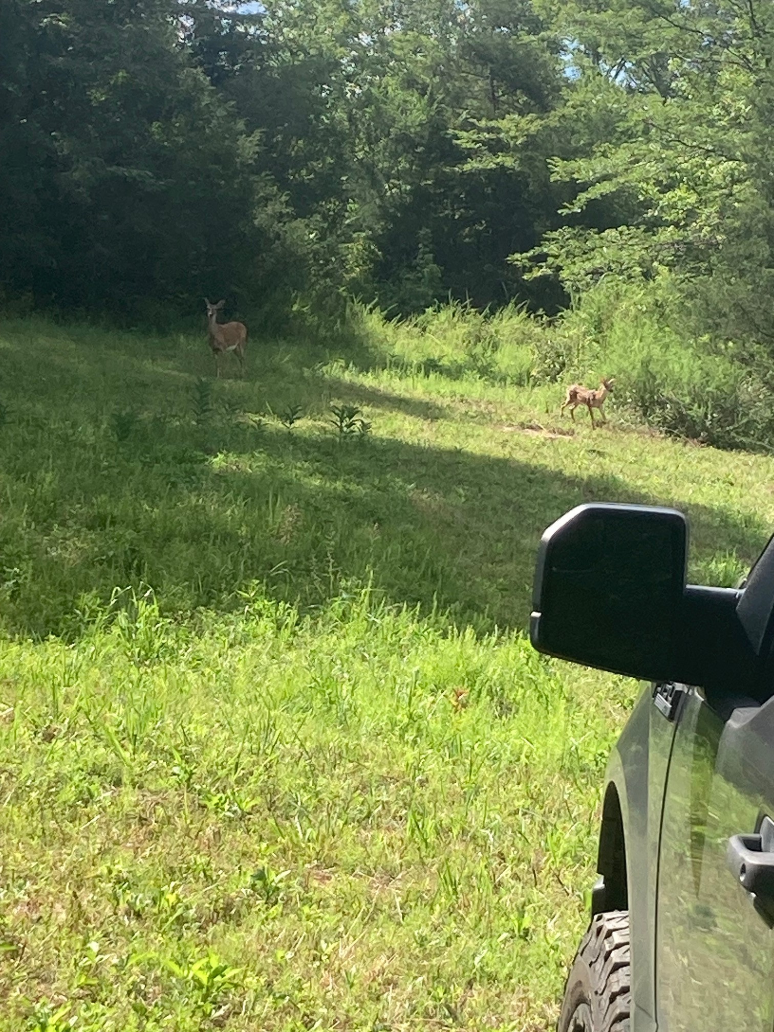 3264 Martin Hollow Road Culleoka, TN 38451 - Photo 7 of 68