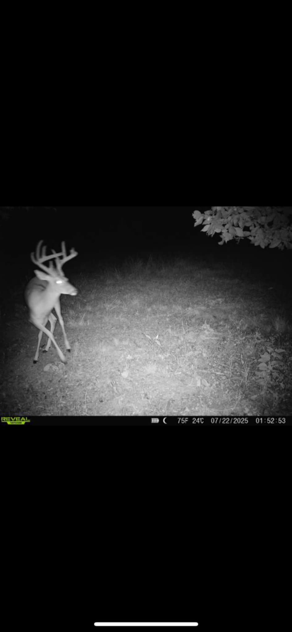 3264 Martin Hollow Road Culleoka, TN 38451 - Photo 9 of 68