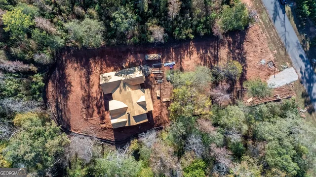 a view of a city with lush green forest