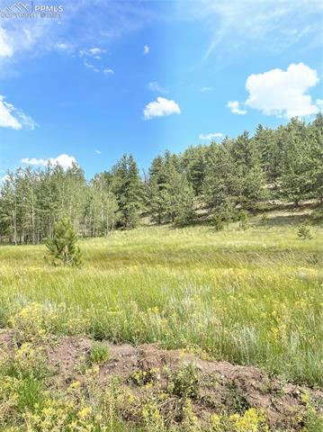578 Tess Trace Road Guffey, CO 80820 - Photo 10 of 10