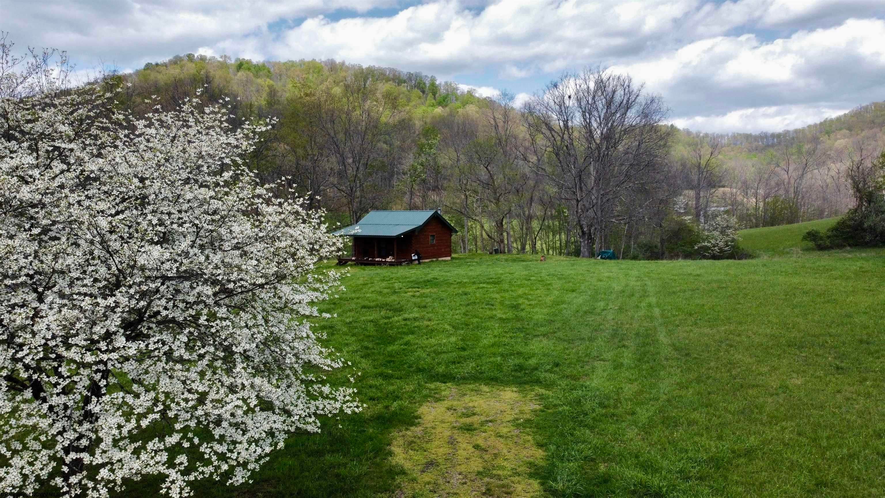 5601 Clover Fork Road Orlando, WV 26412 - Photo 15 of 44 Gallery Image 15