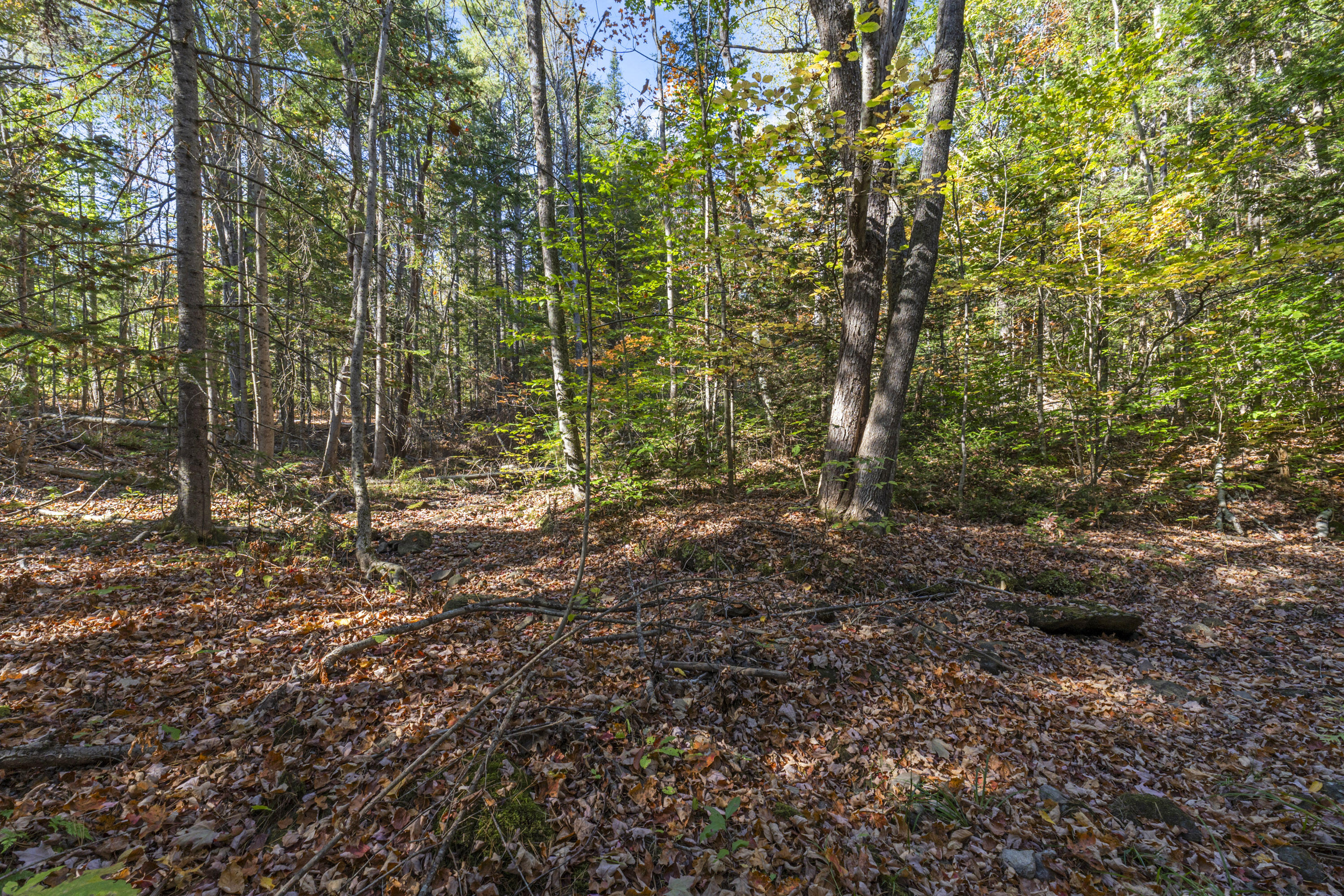 215 Ward Road Topsham, ME 04086 - Photo 3 of 32 Land photos