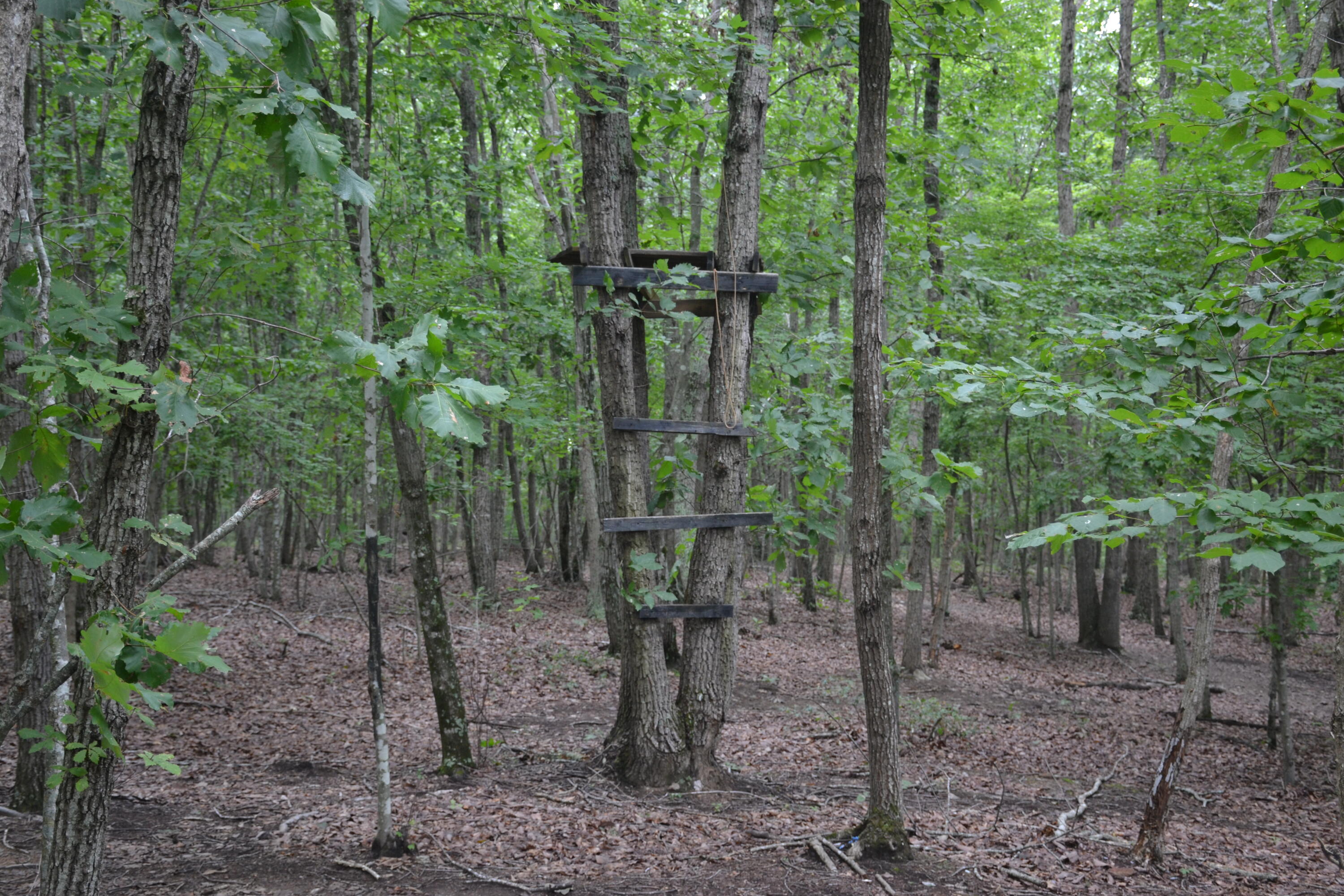 0 Paisley Road Gretna, VA 24557 - Photo 27 of 48 DSC_0003