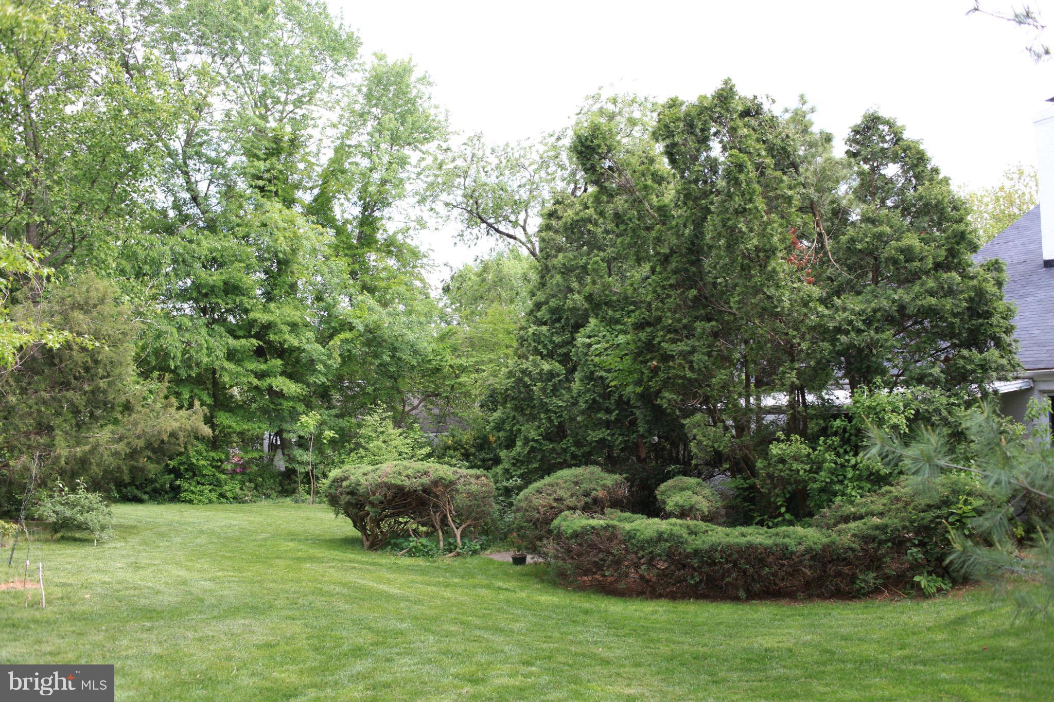 6504 Elmdale Road Alexandria, VA 22312 - Photo 23 of 28 Exterior (Rear)