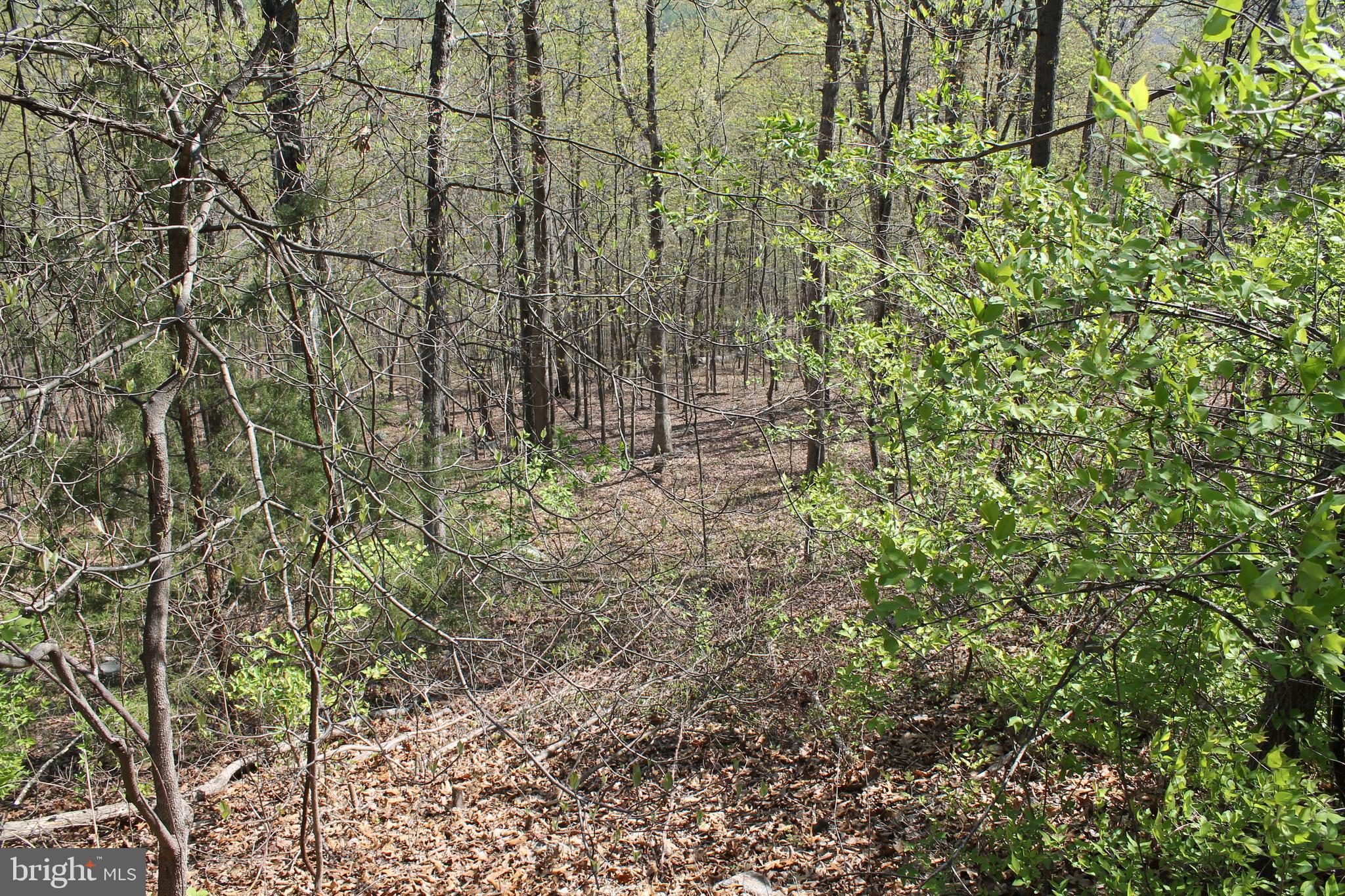 Hillandale Road Front Royal, VA 22630 - Photo 6 of 11