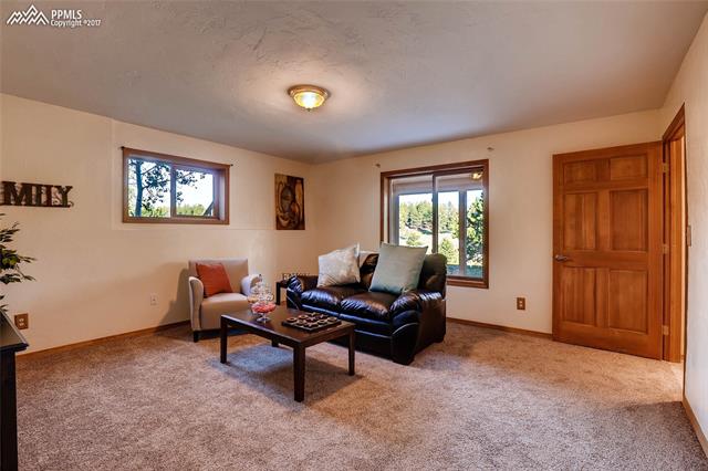 1306 Twin Rocks Road Florissant, CO 80816 - Photo 26 of 36