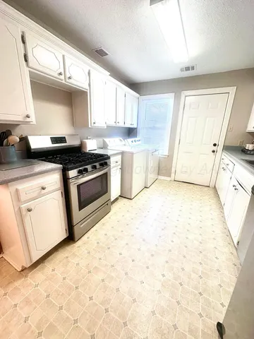 a view of a backyard with plants and large tree
