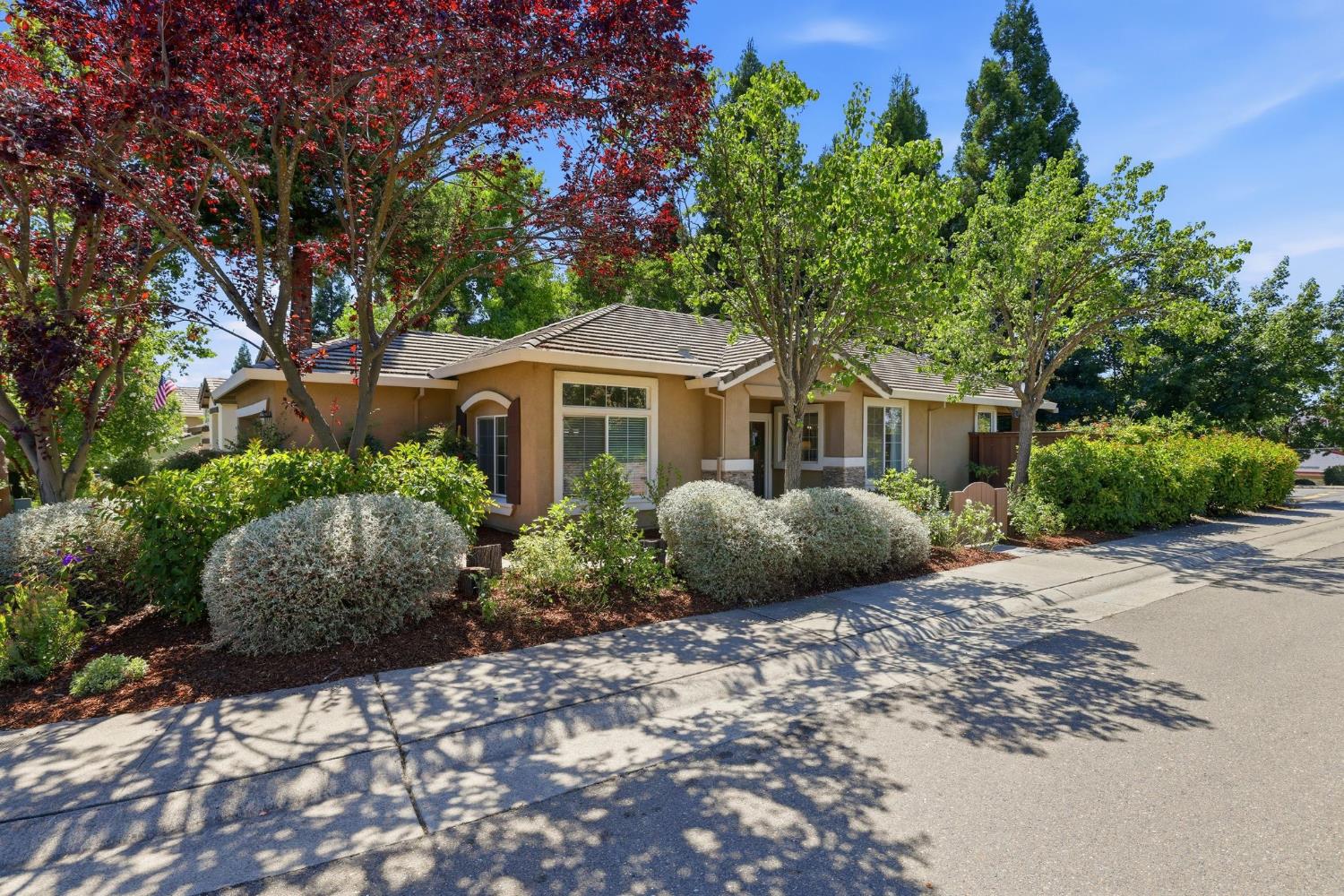1129 Callander Way Folsom, CA 95630 - Photo 6 of 54